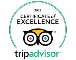 TripAdvisor Reviews